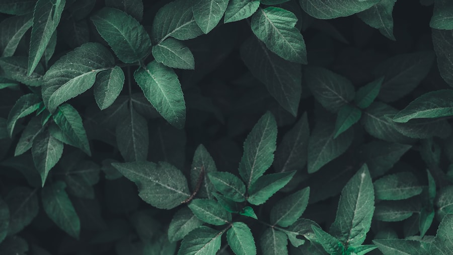 Miami AA Meetings Guide: Times Locations and What to Expect